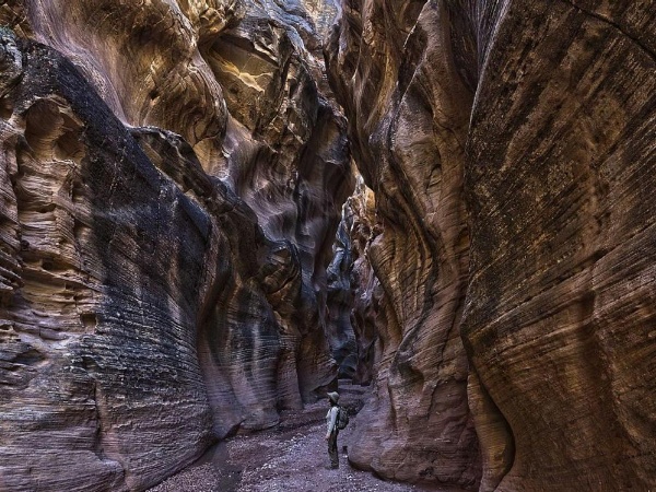 The Lookout at Sevier River image 27